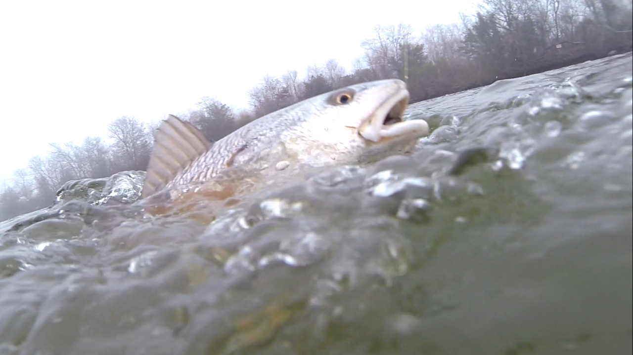The Ice Age (With Video) - Matrix Shad